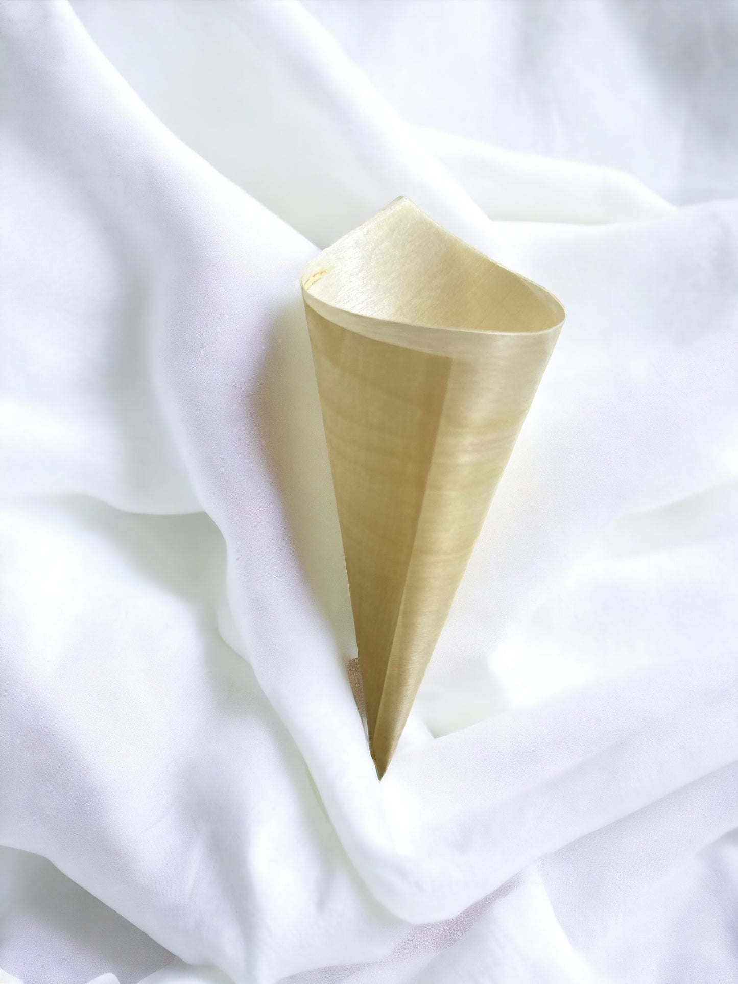 Biodegradable confetti cones